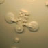 TREAD_sm.jpg (6271 bytes)