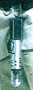 hspesab2.jpg (23720 bytes)