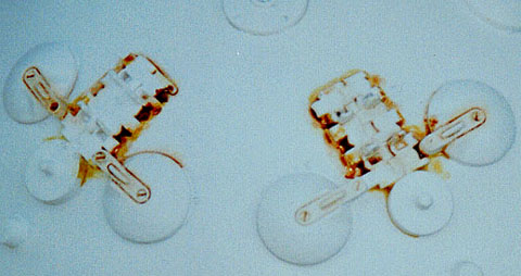 wash.jpg (34061 bytes)